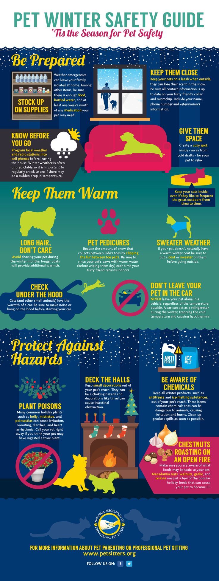 Winter Pet Safety