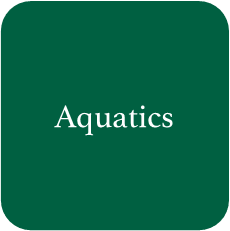 Aquatics