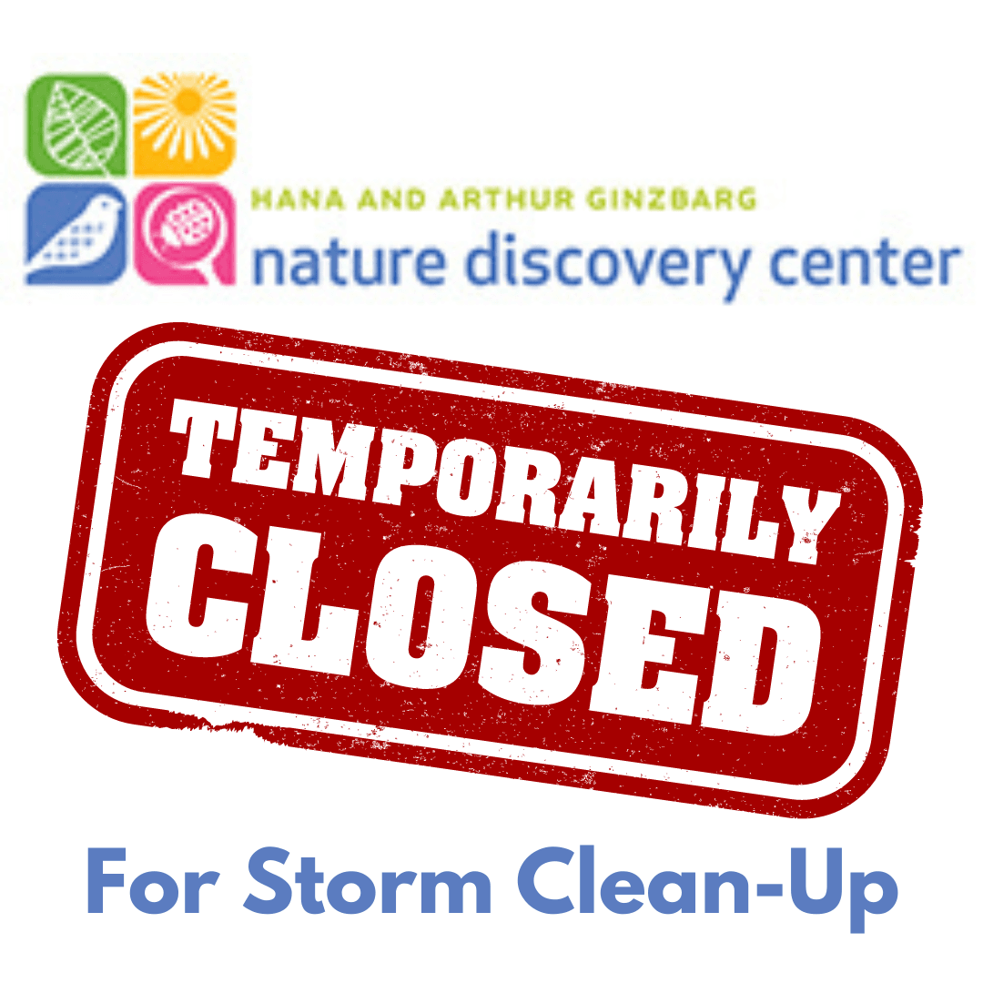 Temporarily Closed For Storm Clean-Up