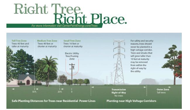 Right Tree Right Place