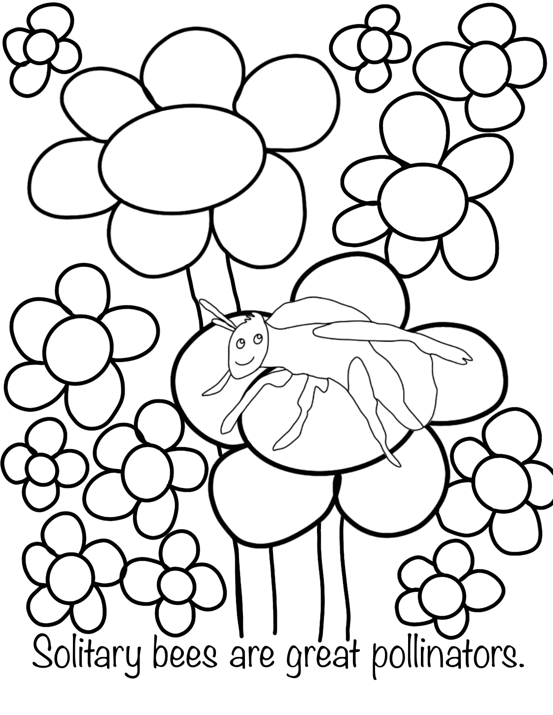 Solitary Bees Polinators