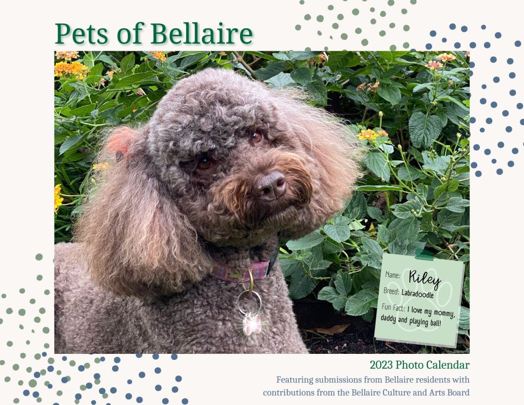 Cover COB 2023 CALENDAR - Riley Opens in new window
