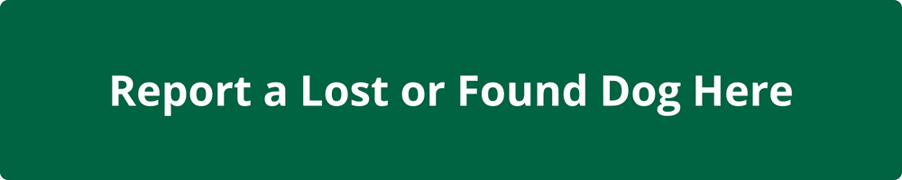 Report Lost or Found Dog