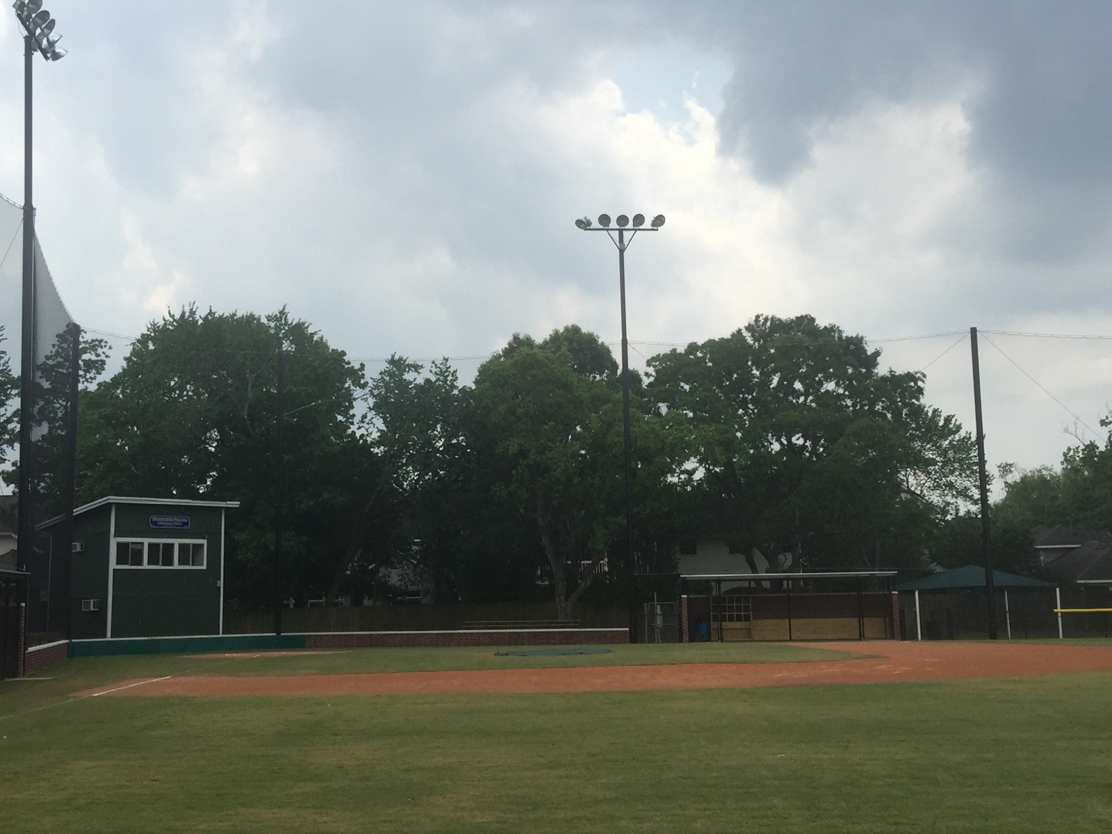 BLL Mulberry  May '16.jpg